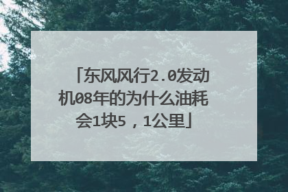 东风风行2.0发动机08年的为什么油耗会1块5，1公里