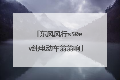 东风风行s50ev纯电动车翁翁响