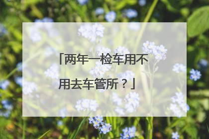 两年一检车用不用去车管所？