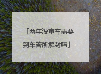 两年没审车需要到车管所解封吗