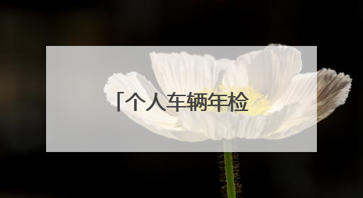 个人车辆年检费用报销发票开个人还是公司