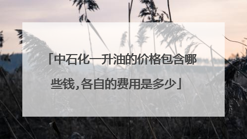 中石化一升油的价格包含哪些钱,各自的费用是多少