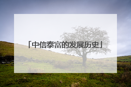 中信泰富的发展历史