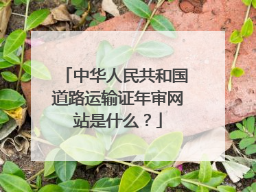 中华人民共和国道路运输证年审网站是什么？
