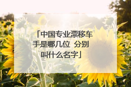 中国专业漂移车手是哪几位 分别叫什么名字