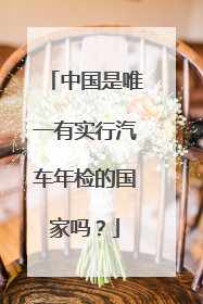 中国是唯一有实行汽车年检的国家吗？