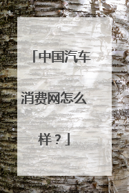 中国汽车消费网怎么样？