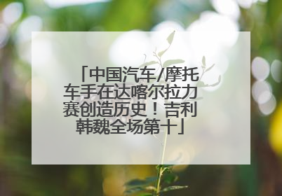 中国汽车/摩托车手在达喀尔拉力赛创造历史！吉利韩魏全场第十