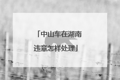 中山车在湖南违章怎样处理