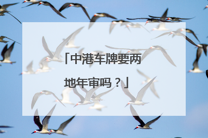 中港车牌要两地年审吗？