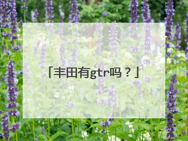 丰田有gtr吗？
