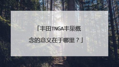 丰田TNGA丰巢概念的意义在于哪里？