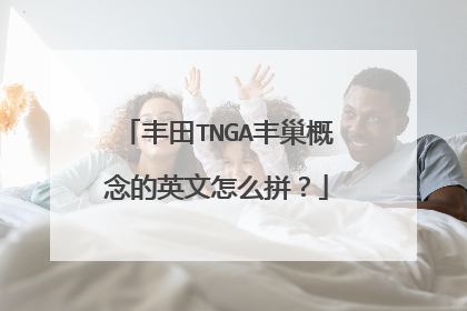 丰田TNGA丰巢概念的英文怎么拼？