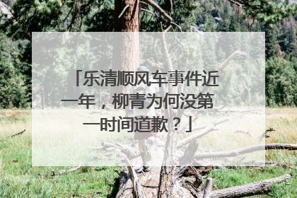 乐清顺风车事件近一年，柳青为何没第一时间道歉？