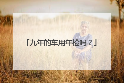 九年的车用年检吗？