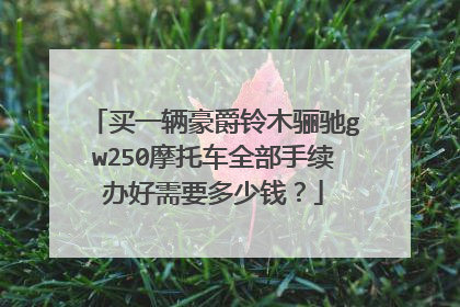 买一辆豪爵铃木骊驰gw250摩托车全部手续办好需要多少钱？