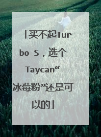 买不起Turbo S，选个Taycan“冰莓粉”还是可以的