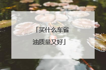 买什么车省油质量又好