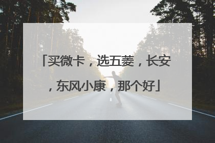 买微卡，选五菱，长安，东风小康，那个好