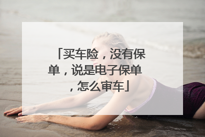 买车险，没有保单，说是电子保单，怎么审车