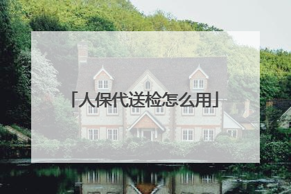 人保代送检怎么用