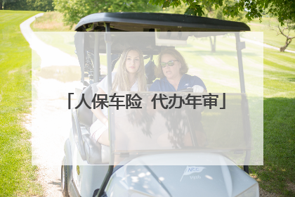 人保车险 代办年审