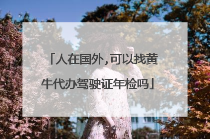 人在国外,可以找黄牛代办驾驶证年检吗
