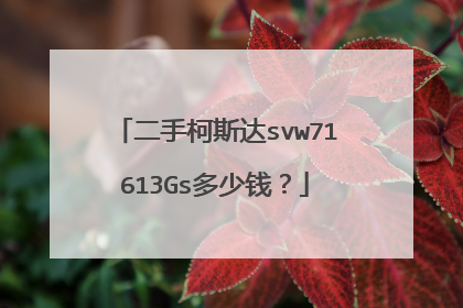 二手柯斯达svw71613Gs多少钱？