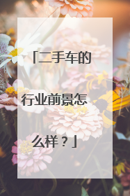 二手车的行业前景怎么样？