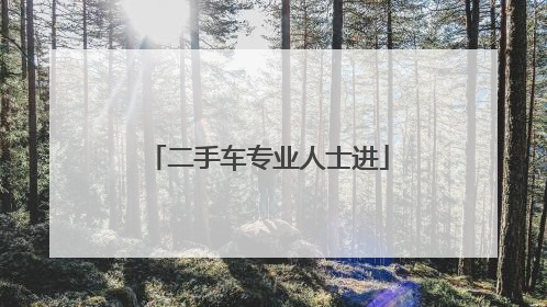 二手车专业人士进