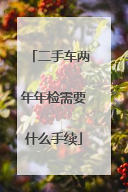二手车两年年检需要什么手续