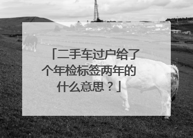 二手车过户给了个年检标签两年的什么意思？