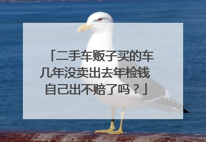二手车贩子买的车几年没卖出去年检钱自己出不赔了吗？