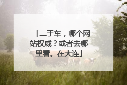 二手车，哪个网站权威？或者去哪里看。在大连