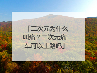 二次元为什么叫痛？二次元痛车可以上路吗