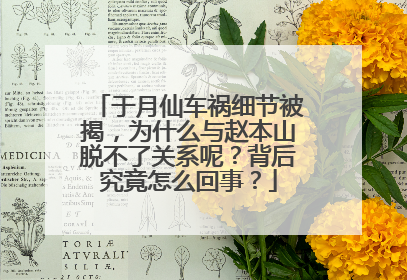 于月仙车祸细节被揭，为什么与赵本山脱不了关系呢？背后究竟怎么回事？