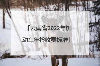 云南省2022年机动车年检收费标准