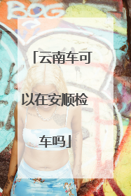 云南车可以在安顺检车吗