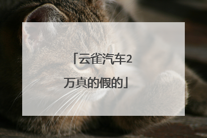 云雀汽车2万真的假的