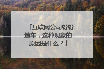 互联网公司纷纷造车，这种现象的原因是什么？