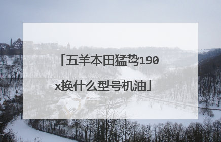 五羊本田猛鸷190x换什么型号机油
