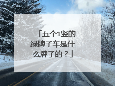 五个1竖的绿牌子车是什么牌子的？