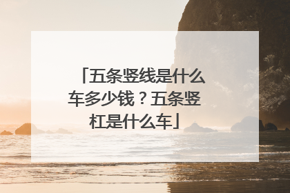 五条竖线是什么车多少钱？五条竖杠是什么车