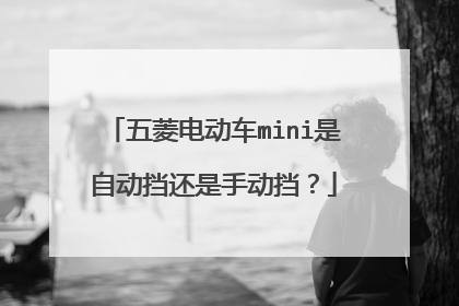 五菱电动车mini是自动挡还是手动挡？