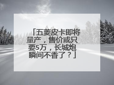 五菱皮卡即将量产，售价或只要5万，长城炮瞬间不香了？