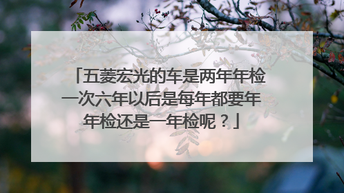 五菱宏光的车是两年年检一次六年以后是每年都要年年检还是一年检呢？