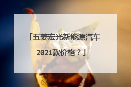 五菱宏光新能源汽车2021款价格？