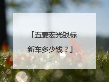 五菱宏光银标新车多少钱？