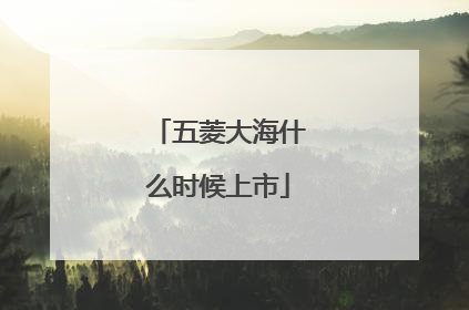 五菱大海什么时候上市