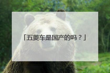 五菱车是国产的吗？